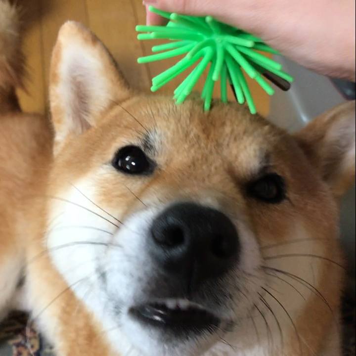 2ad074ea 765d 4ef3 a4de ae8a94d0b814 1531566901087