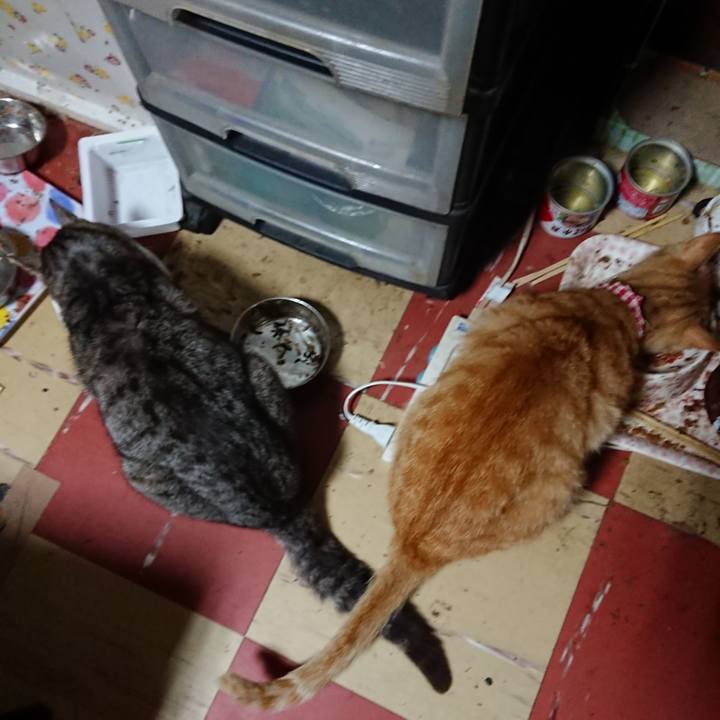 2ad09abe 9b95 44d4 94fd b5ecbb0d8a34 1560023886643