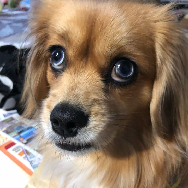 2ad0a4f2 c62a 4d0b 9432 a43e42bc4bdd 1549321990930