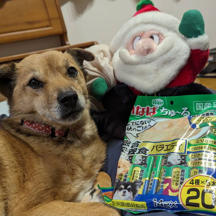 2ad0bc1e 4521 48b0 92c7 56f8bdafdbe7 1703428413735