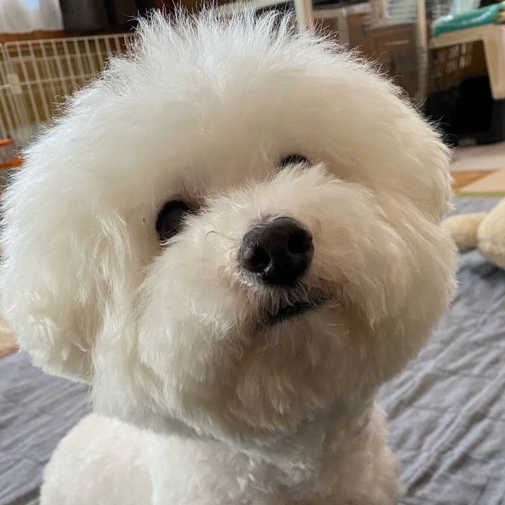 2ad0ca74 a25f 4e9a 92f9 51b0a8d23705 1652516733315