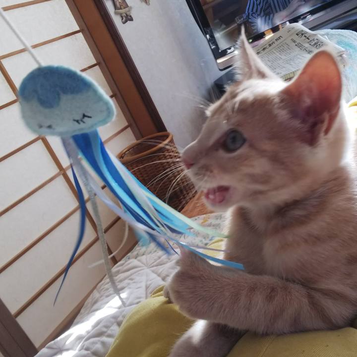 2ad11697 d77c 4021 8a60 8ca843867abb 1540683043548