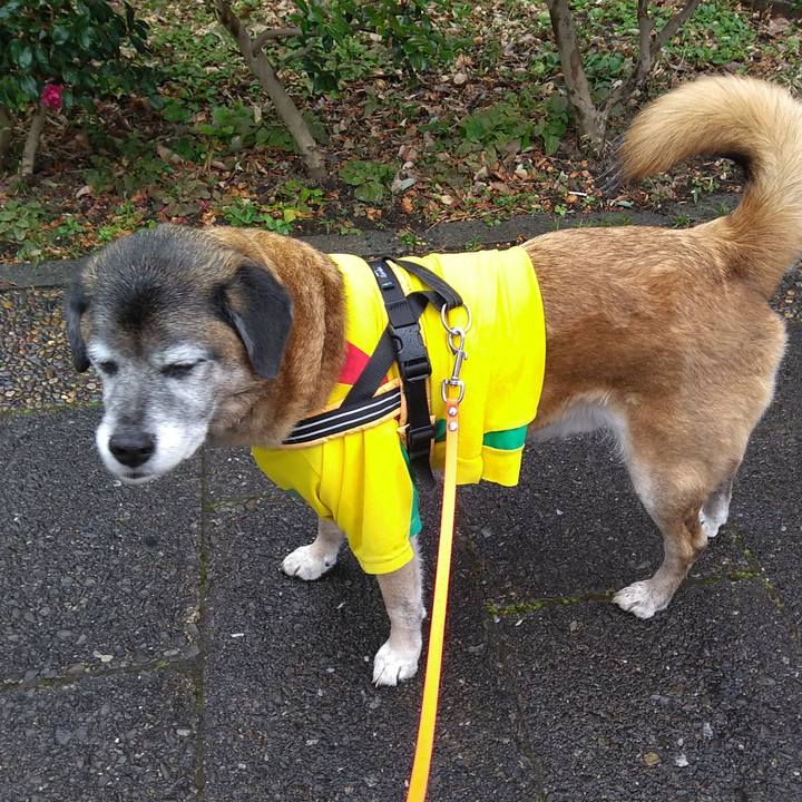 2ad1301a 76d2 4d70 bc2e dac76e79d5c9 1549410728722