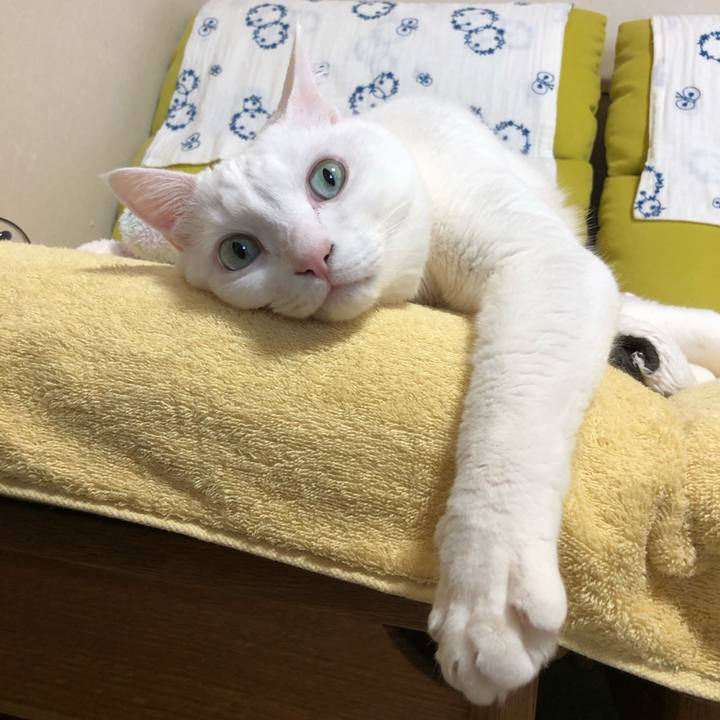 2ad14a4b ac4e 478d 8ea5 113ab8120dc8 1620442299125