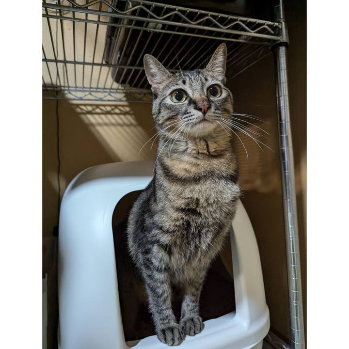 2ad15e76 4ada 4037 afd8 1c32fec73739 1731391397817