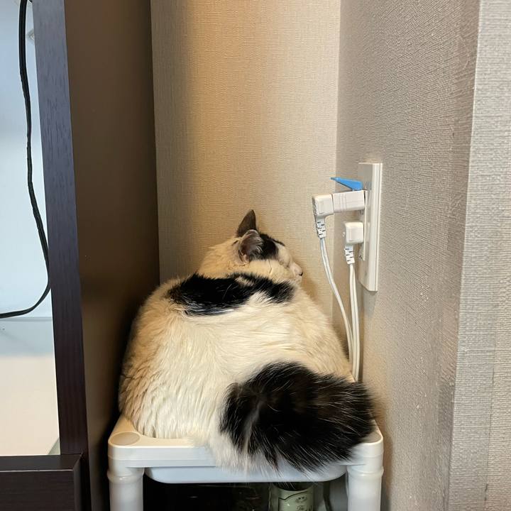 2ad18f4a 35c1 42a5 98d9 b4dde869c33c 1654558408103