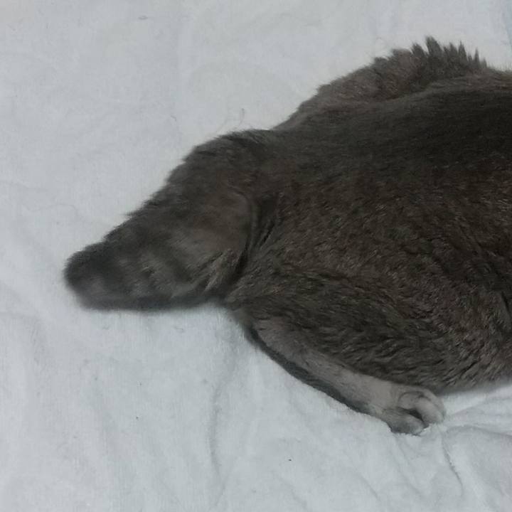 2ad1c3e7 a988 4c75 964b 09d2c7105fdb 1693482897137