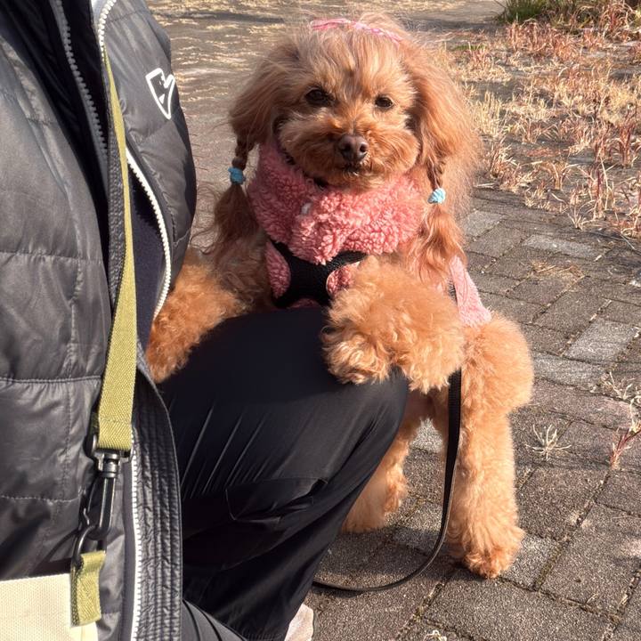 2ad1c780 7799 480d 99d5 b18611f96006 1769647608302