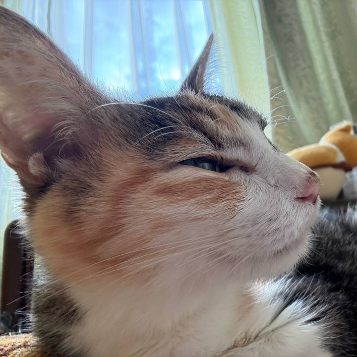 2ad1e4be 3bf3 4013 a831 290328694f72 1764044992558