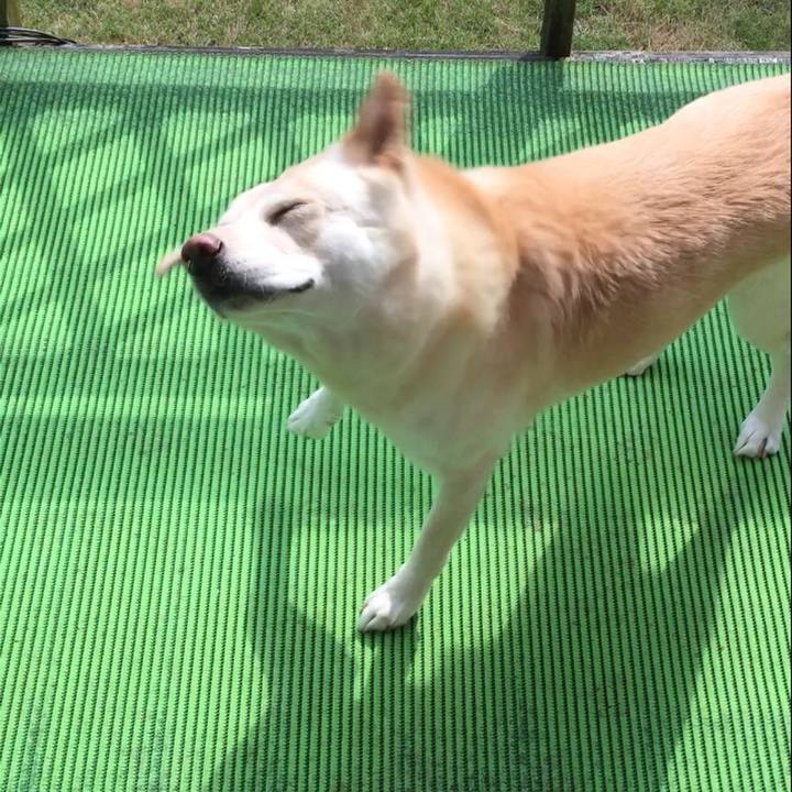 2ad2053b a793 458c 8c0f f75eeca65798 1510023080235