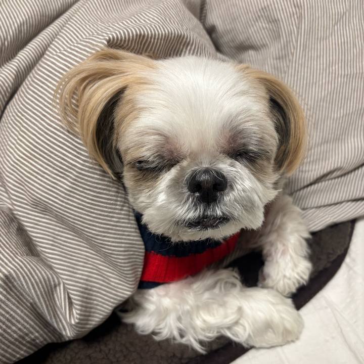 2ad20f4c aea0 42a5 b007 ed38b8720506 1769304705682