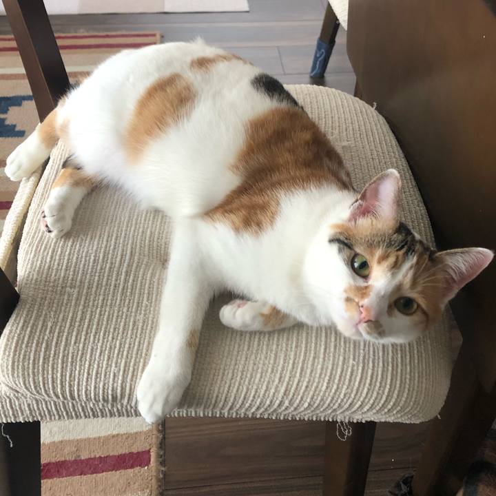 2ad267ae aac0 4644 a026 75c724e8493b 1588295935672