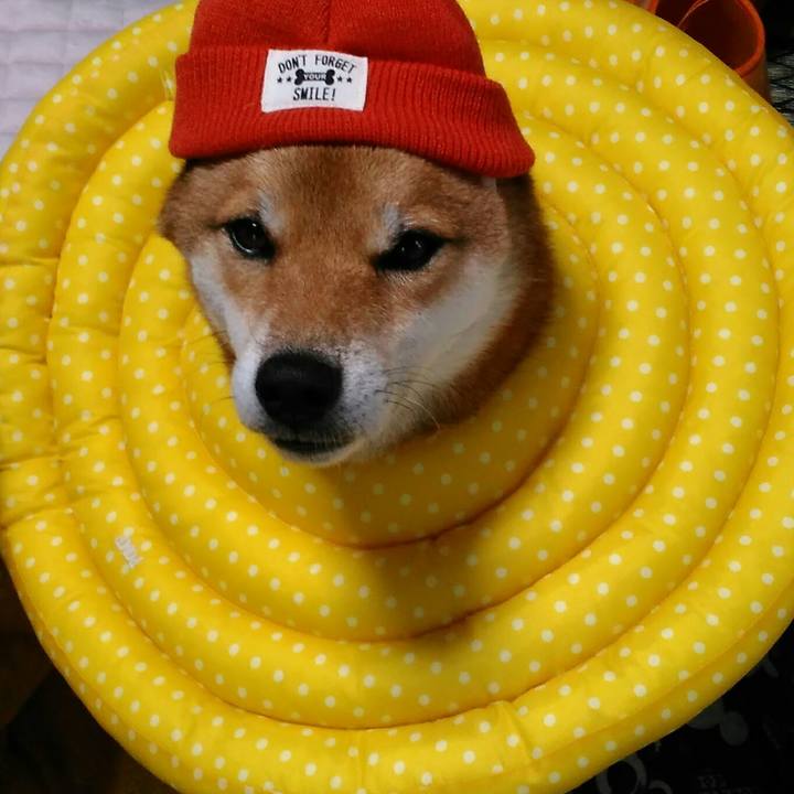 2ad2734c 9049 44a1 b017 04a41428b140 1508384823964