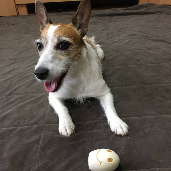 2ad28b4a 7510 4264 933e f6a33e1b9753 1594336900603