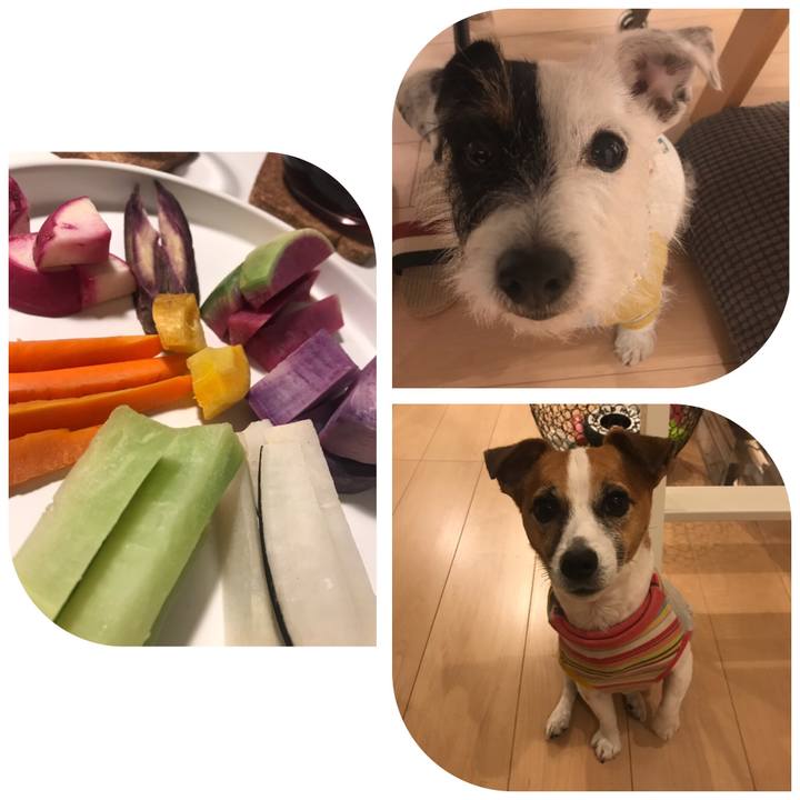 2ad292f6 e845 4e78 b9e6 3f006d54f5e2 1544346634651