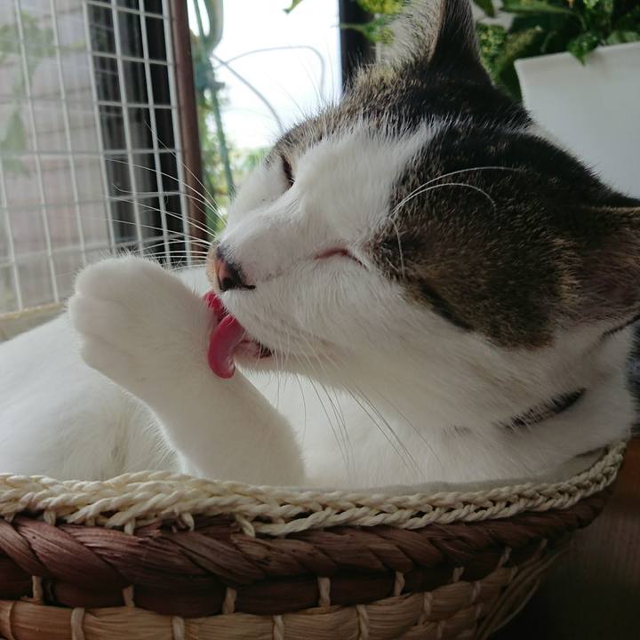 2ad2fdc1 82ce 41a3 a473 96de2e8b8c54 1509607031038