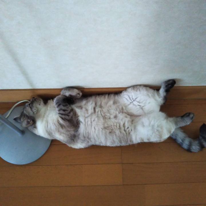 2ad31567 cfd3 4c0c 8906 bcddbe65ab75 1563337276891