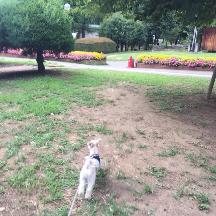 2ad31f83 308a 4720 b6d5 df3c28727d62 1532684673157