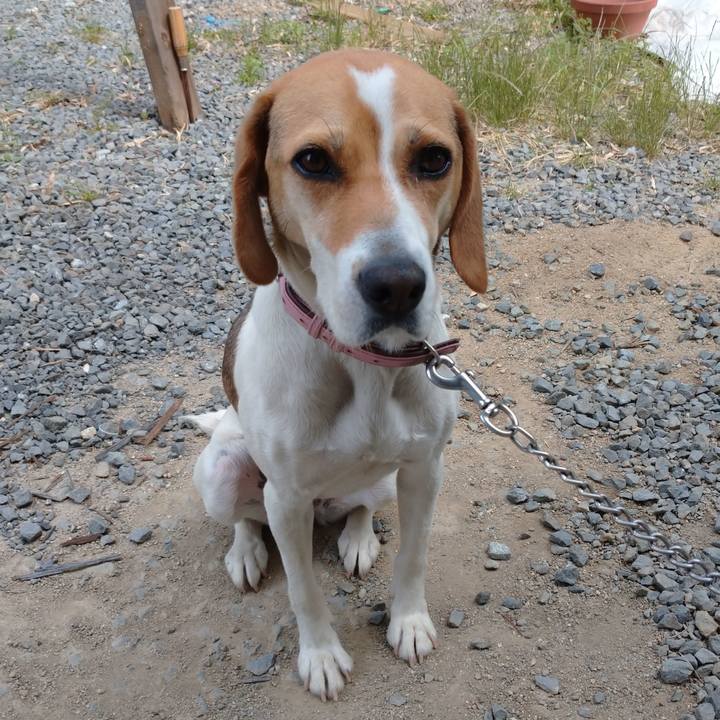 2ad33a37 852e 48a7 a32c 702e4b4caec2 1590816822250