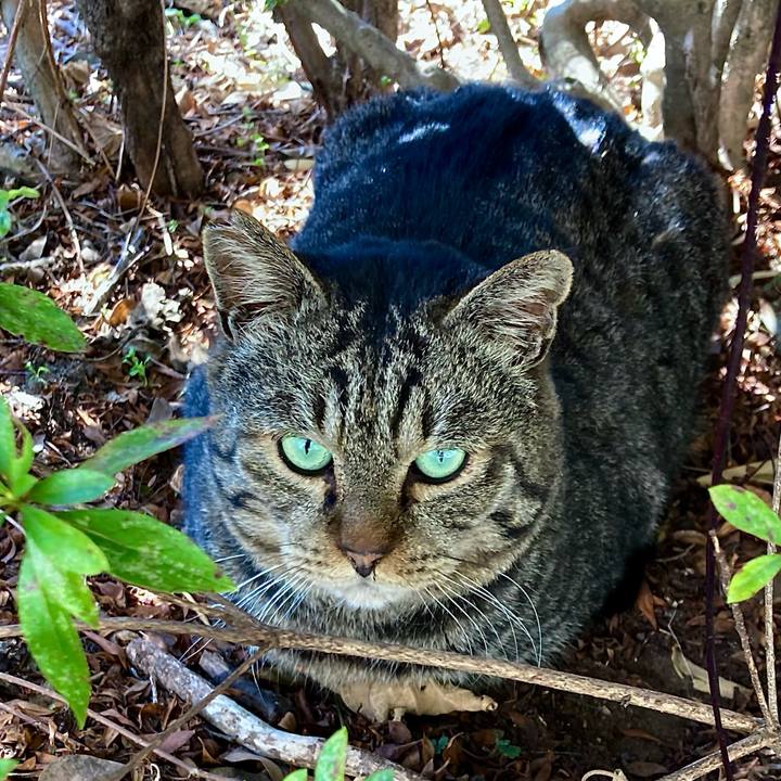 2ad34e91 0134 4630 8f27 af9fb48755d1 1678764870473