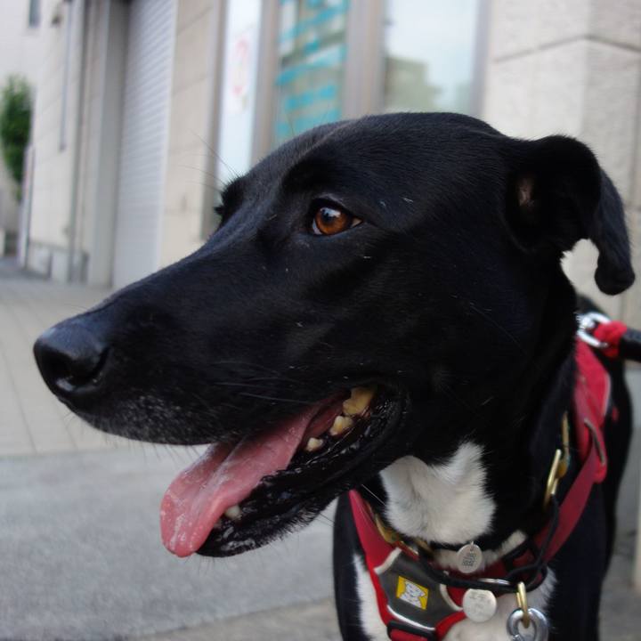 2ad354e2 caa1 48f7 9e9f 08f0b5ad16a2 1590578420174