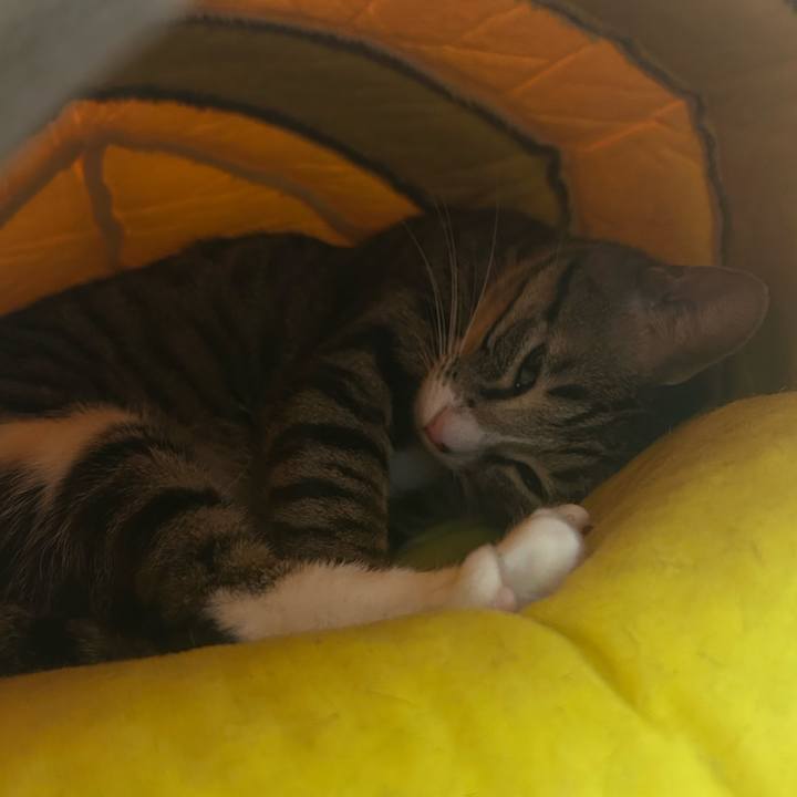 2ad36966 3ba4 4d2e 95a4 210e19517c12 1771859114021