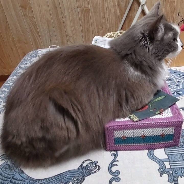 2ad37be3 71f3 4242 8305 13c79fd00d3d 1699268722713