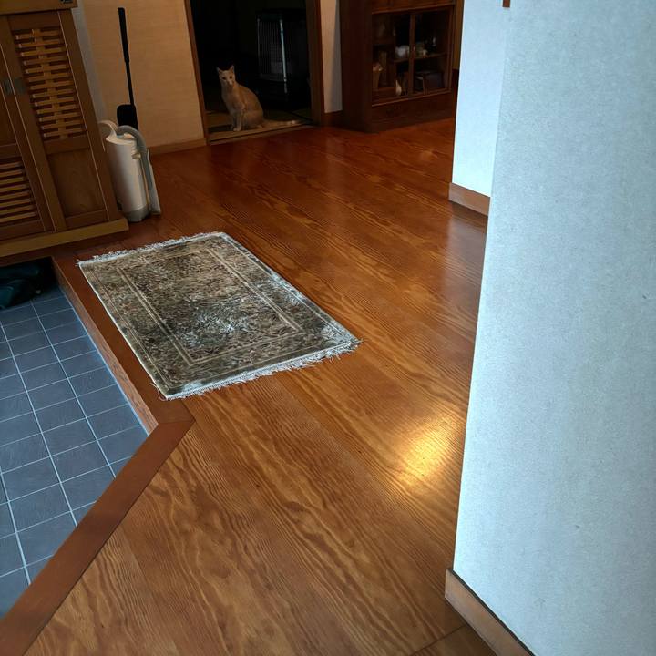 2ad392d2 5279 487f 8c41 10d483560a5f 1702119882806