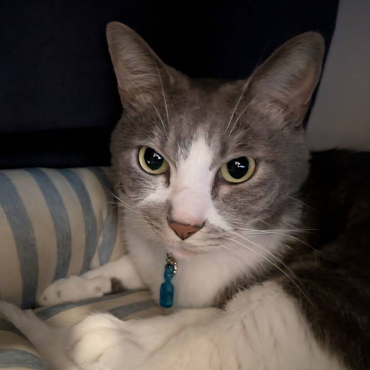 2ad39488 e072 4478 8a37 116ab7a3df14 1759798490542