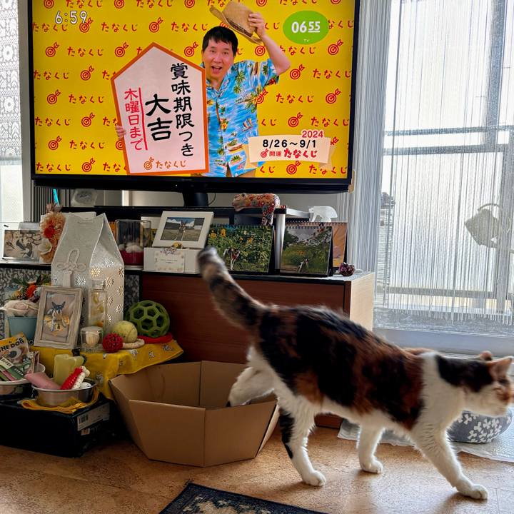 2ad3ae49 a048 468f aca8 f16ecda7f280 1724626713702