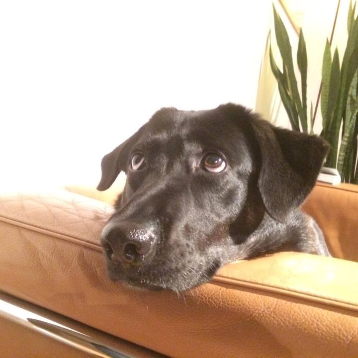 2ad3c3b0 08f0 4864 97aa 279a10c2a27e 1509704872341