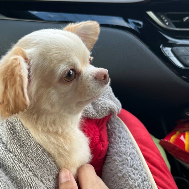 2ad42309 5592 4026 9f66 6ee36b7bfa1f 1723801072584