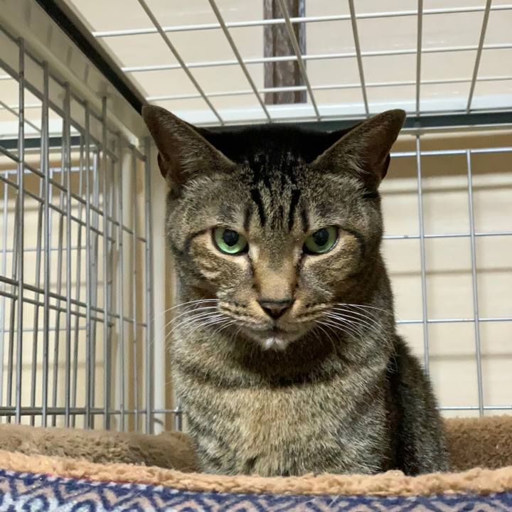 2ad45ebc c495 403a 8ce9 057b8dd908c5 1549069615095