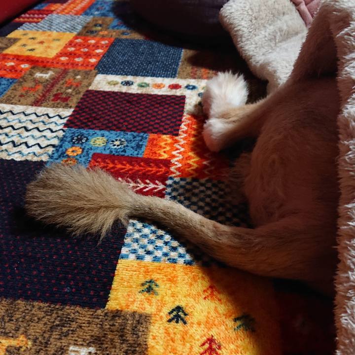 2ad4625e 6497 4eb1 b53b 5360bf8a8357 1608554449701