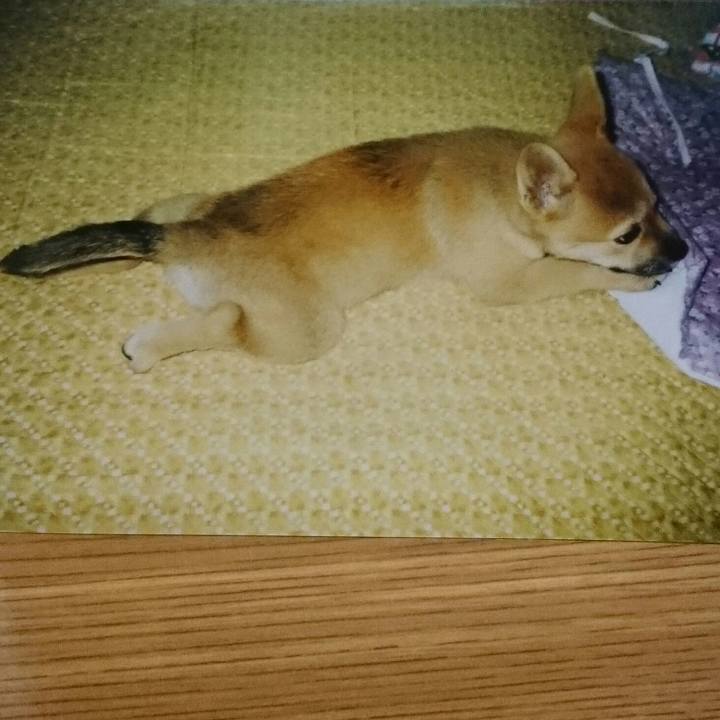 2ad49d47 4c7b 428f b7d0 24618154b20c 1524993499758