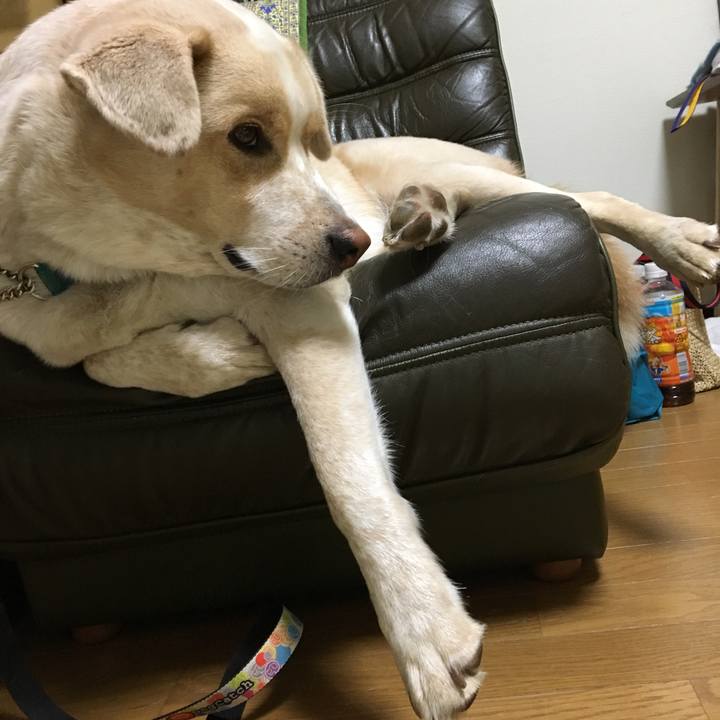 2ad4e4eb e3e1 42e0 bcff a57995b1d377 1535813832517