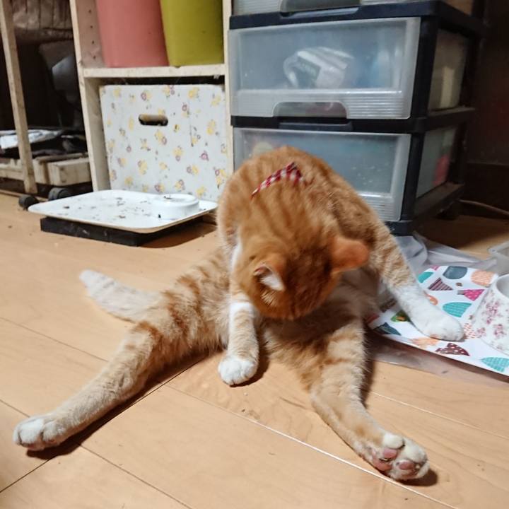 2ad4f86a d4e4 4657 a113 4f2ef4d1865d 1598819585332