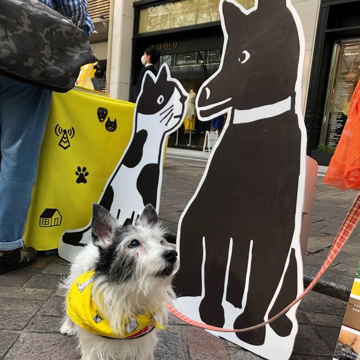 2ad4fcc8 9b3e 4861 a8d9 8bfb2dec11e2 1555834148908