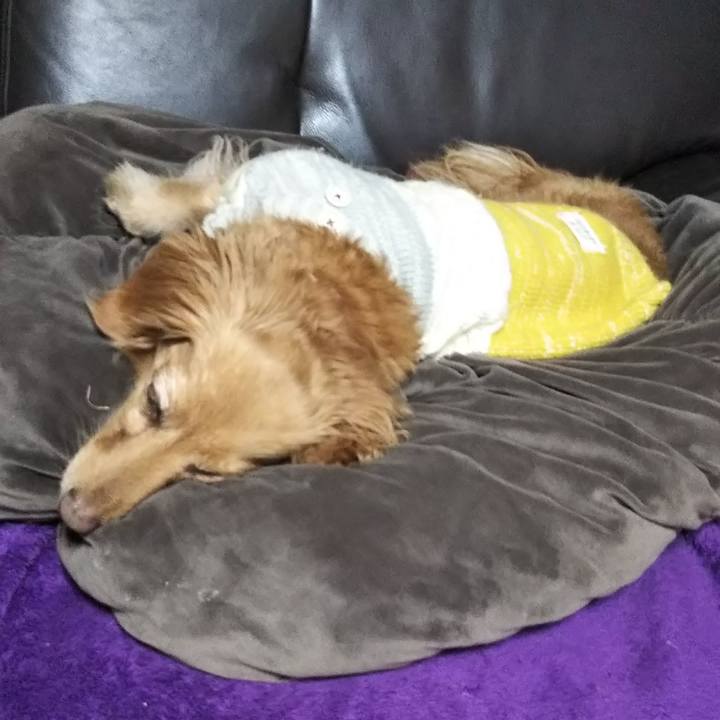 2ad50146 a7a1 455b 840a 7e40d9f1709d 1580649162726