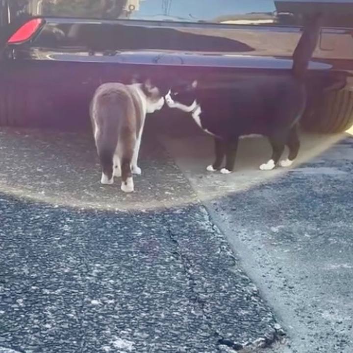 2ad53671 7e5d 443d 9dc6 8c8c8aef6ab3 1767702043619