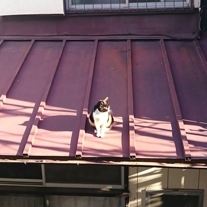 2ad56500 a8b9 4f82 a560 5d62a65b7e7f 1520035283708