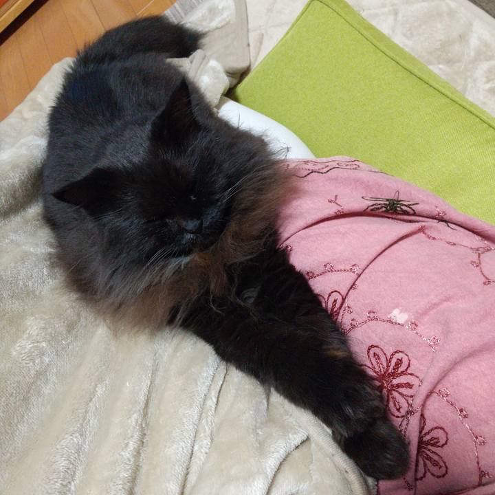 2ad59faf 794a 48ad ab7a 504043a35aa9 1666515373899