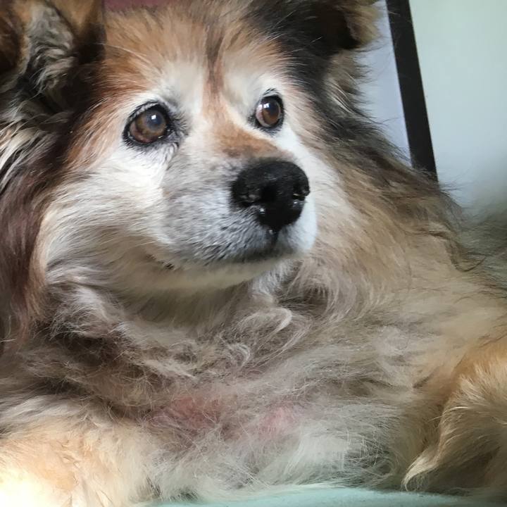 2ad5f73f 91d6 407b 9093 c6133a2c6ef6 1594731278912