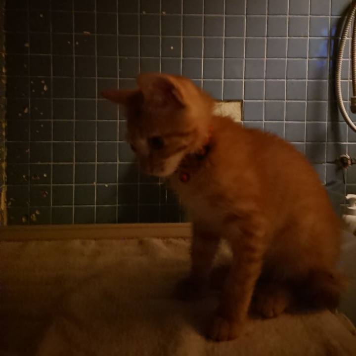 2ad633b3 1bf9 41bf bfbd 2ba0ad2fb346 1630406000072