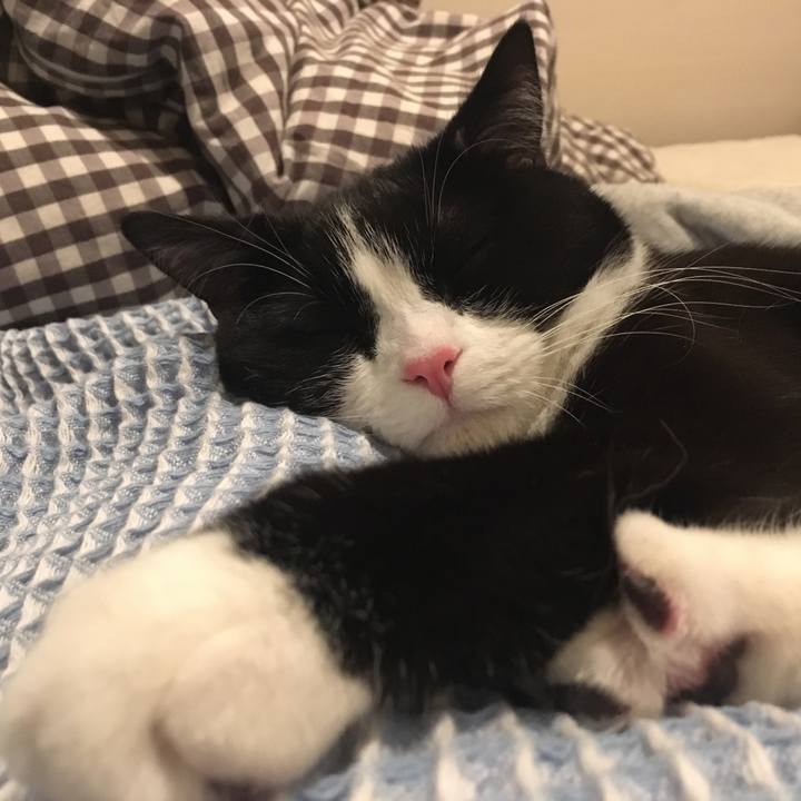 2ad641fa 1493 4cdd a3c9 f583dc3207d5 1558273111416