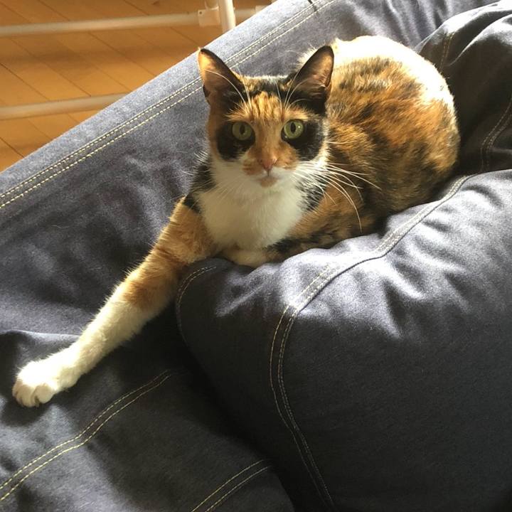 2ad661a1 ca28 4e71 be8c a3348087c372 1534471920201