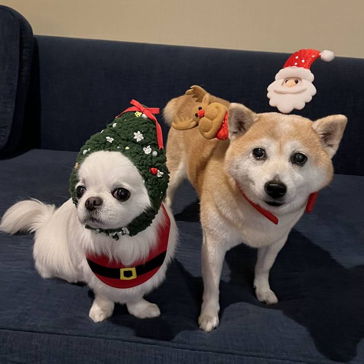 2ad66c64 bfaf 4fc6 be80 c129d0aecc0d 1766573912600