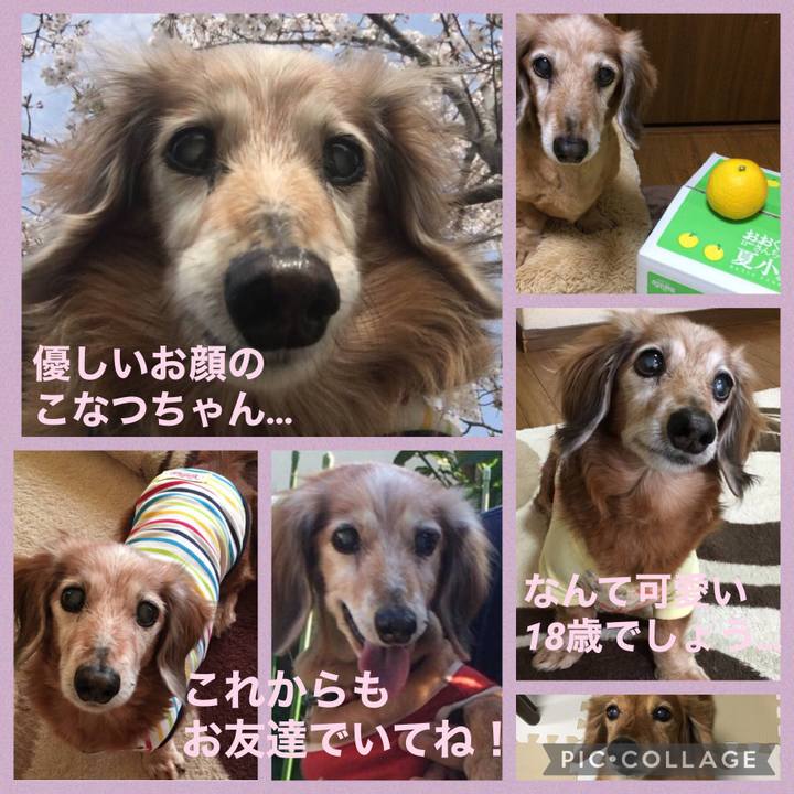 2ad6a98e 2bc6 4faf 9e6a 8f8015a215c2 1619594774800