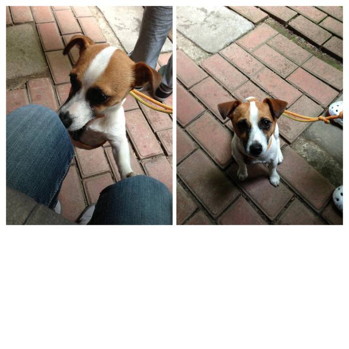 2ad6b0b0 1bbf 4ad6 8f87 93f28147c942 1652921903788