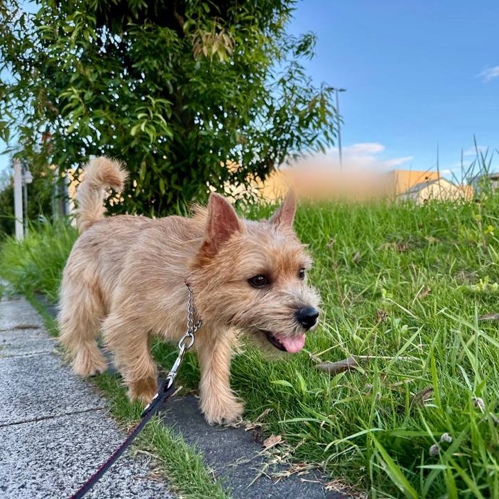 2ad6d210 c606 4af3 8d55 c93bd0a8346b 1724662792124